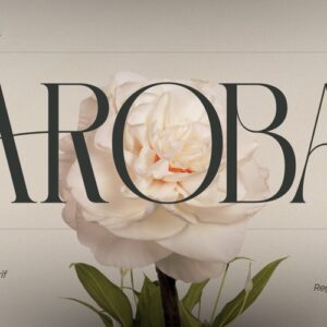 Aroba Modern Font